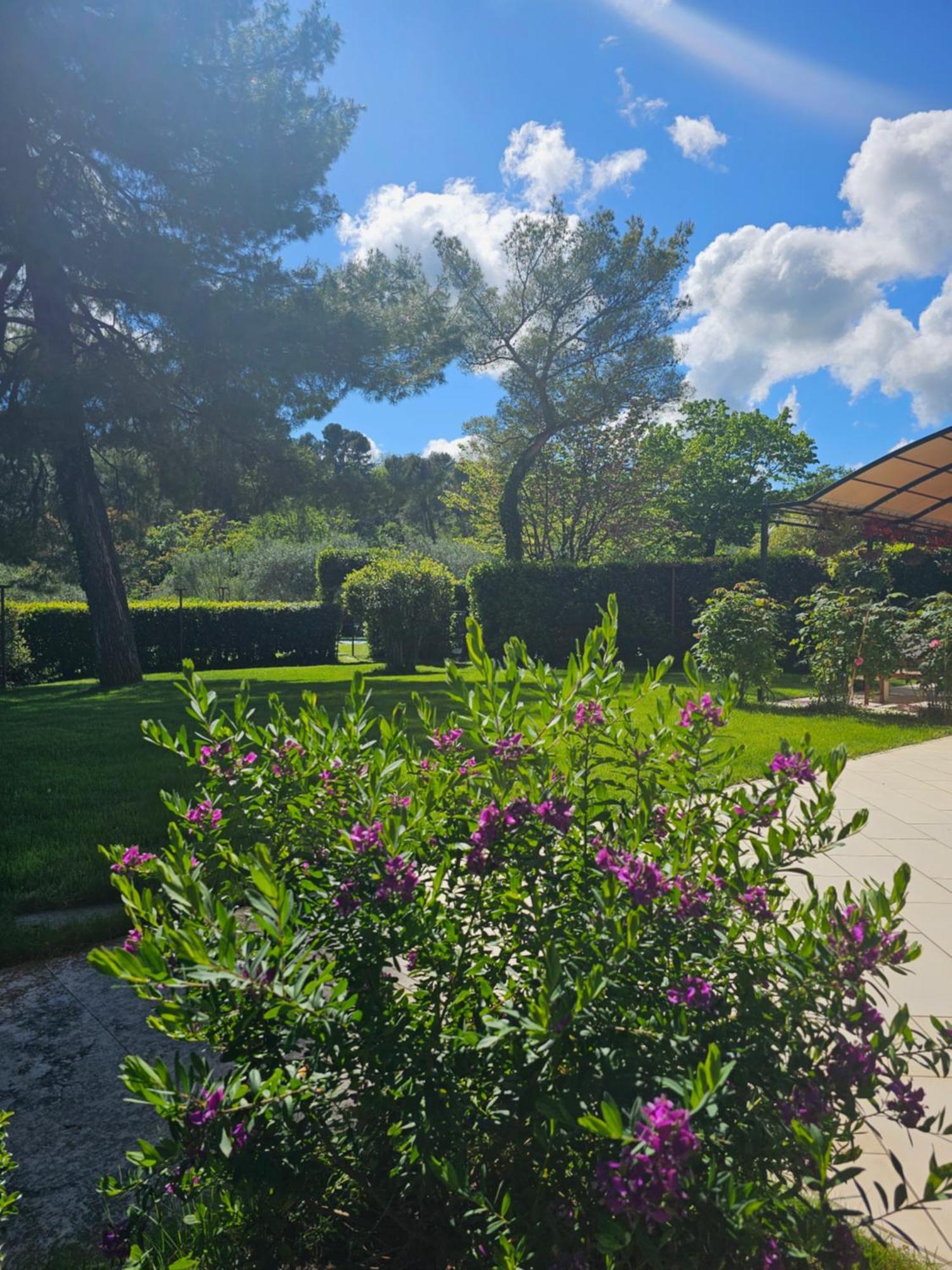 Villa Monacelli B&B Фано Екстериор снимка